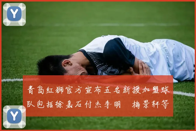 青岛红狮官方宣布五名新援加盟球队包括徐嘉石付杰李明璠梅景轩等球员